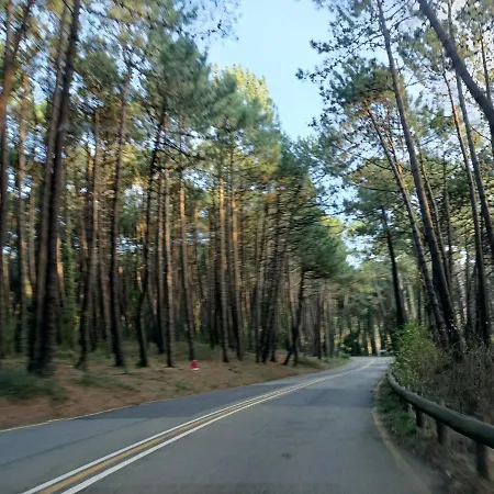 Daire Precioso Con Piscina En La Playa