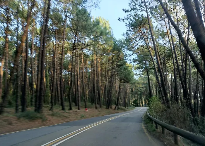 Apartament Precioso Con Piscina En La Playa